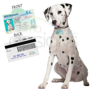 United States Driver License - License Plate Custom Pet ID Tag - Personalized Pet ID Tags - Dog Tag - ALL States
